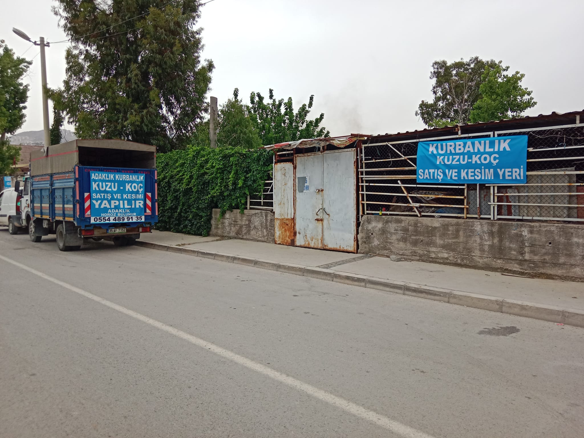 İzmir Küçükbaş Büyükbaş adak